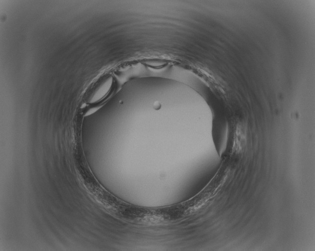 X0000084520256200703091610