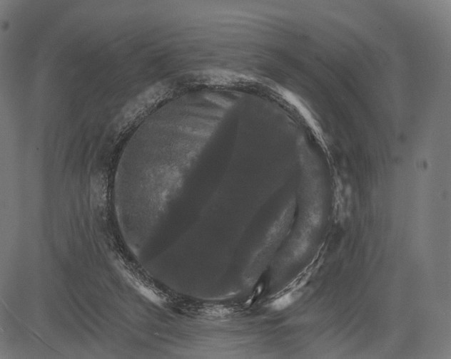 X0000084520257200703091610