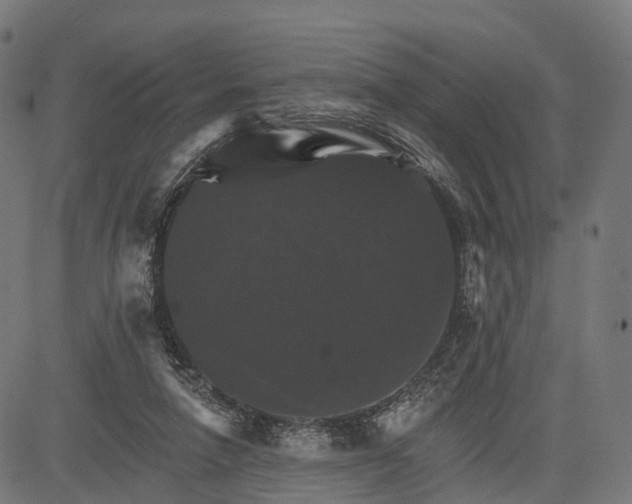 X0000084520258200703091610