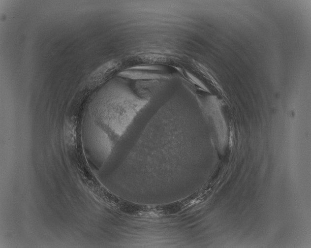 X0000084520259200703091610