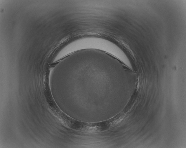 X0000084520260200703091610