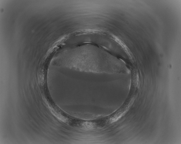 X0000084520261200703091610