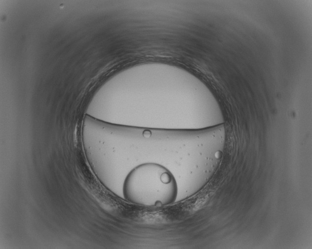 X0000084520262200703091610