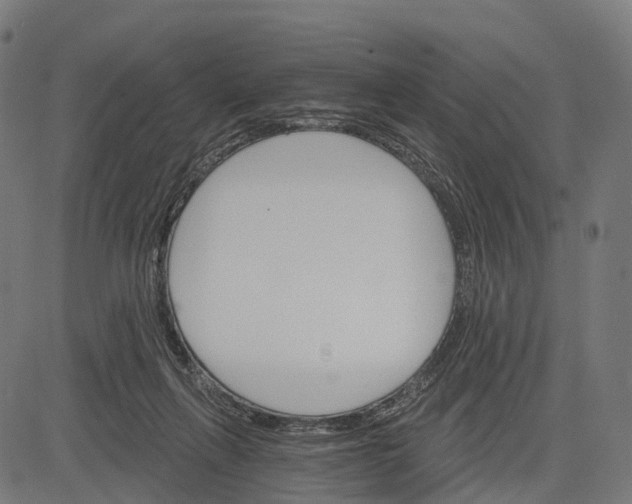 X0000084520263200703091610