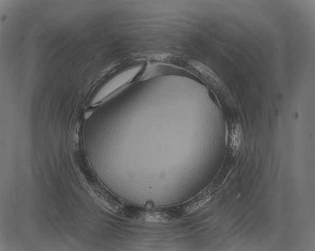 X0000084520264200703091610