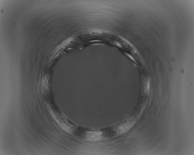 X0000084520266200703091610