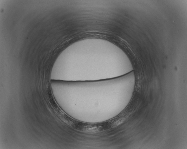 X0000084520267200703091610