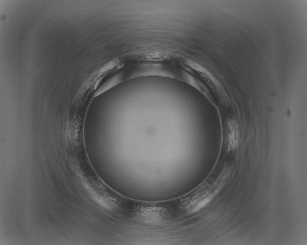 X0000084520268200703091610