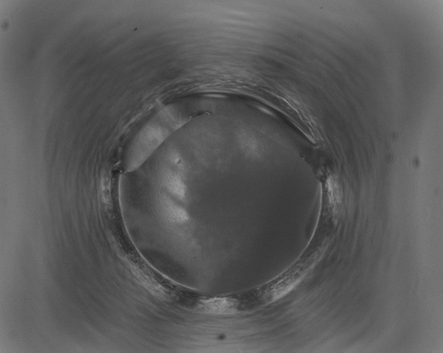 X0000084520269200703091610