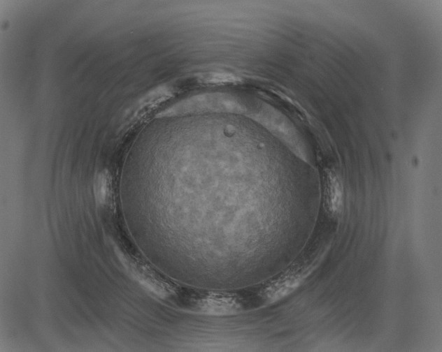 X0000084520270200703091610