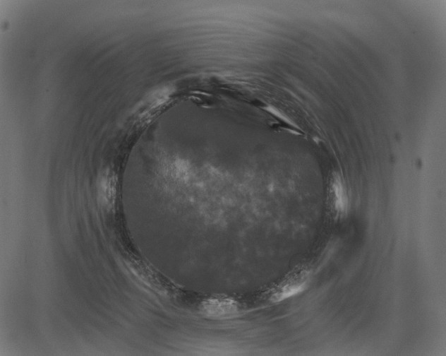 X0000084520271200703091610