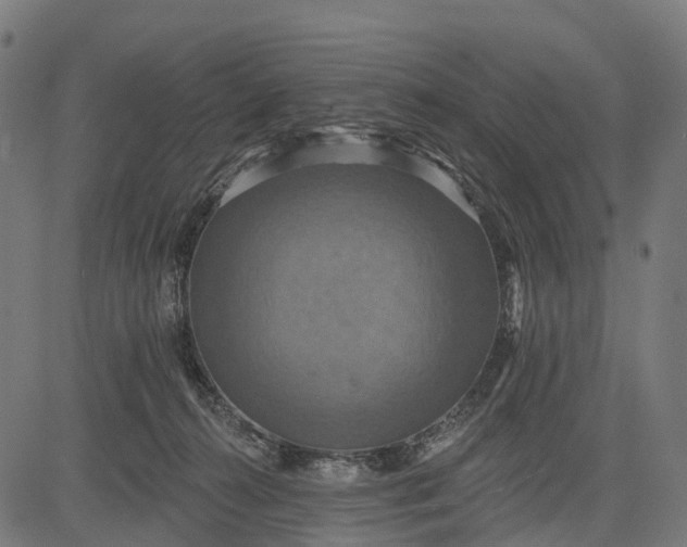 X0000084520272200703091610