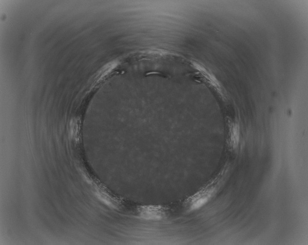 X0000084520273200703091610