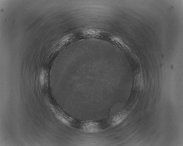 X0000084520274200703091610