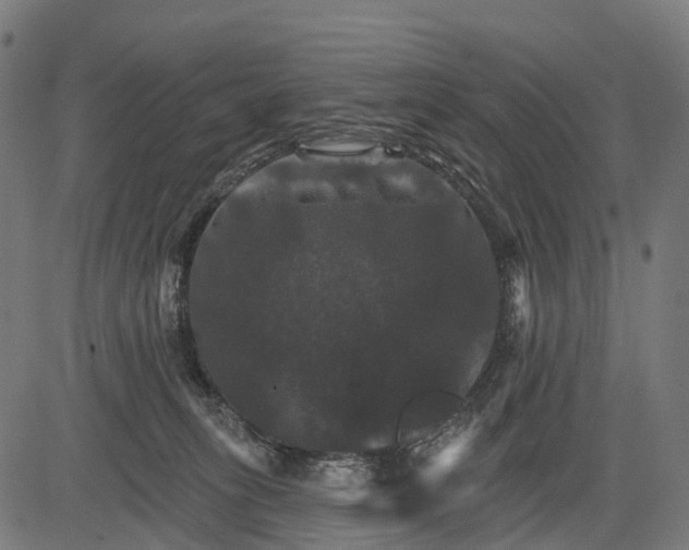 X0000084520275200703091610