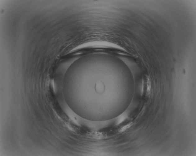 X0000084520276200703091610