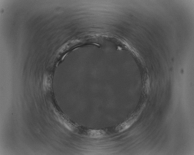 X0000084520277200703091610