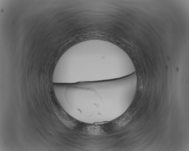 X0000084520279200703091610