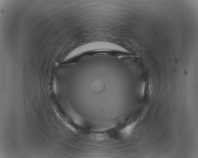 X0000084520280200703091610