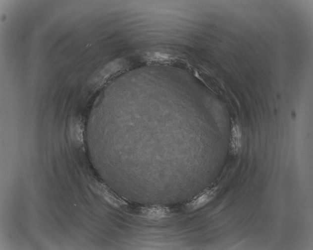 X0000084520282200703091610