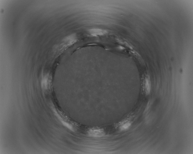 X0000084520283200703091610