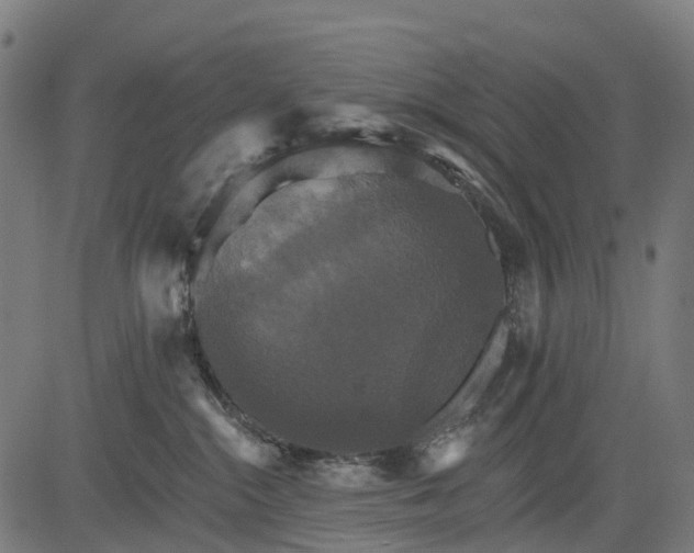 X0000084520284200703091610