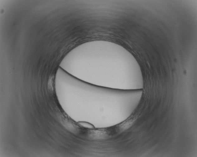 X0000084520286200703091610