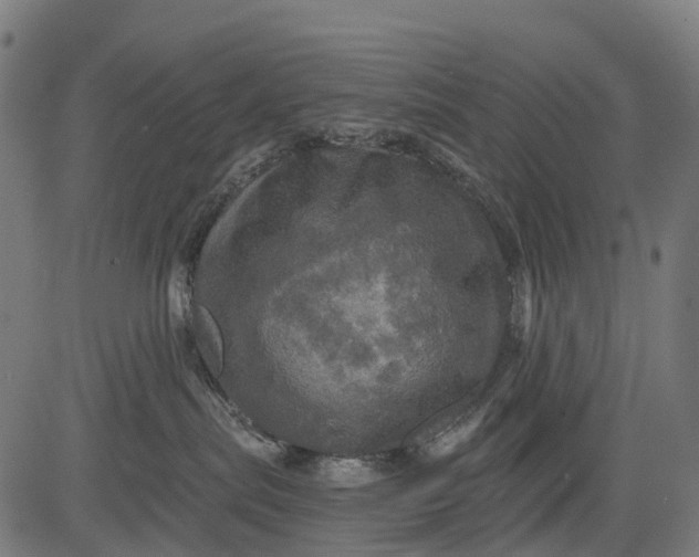 X0000084520287200703091610