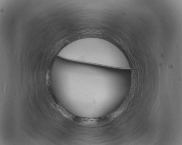 X0000084520288200703091610