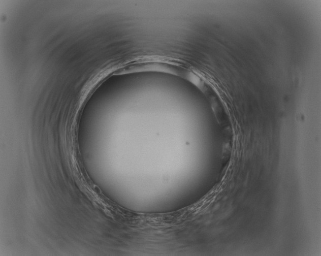 X0000084520289200703091609