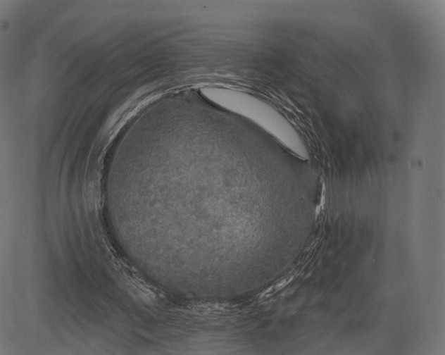 X0000084520291200703091609