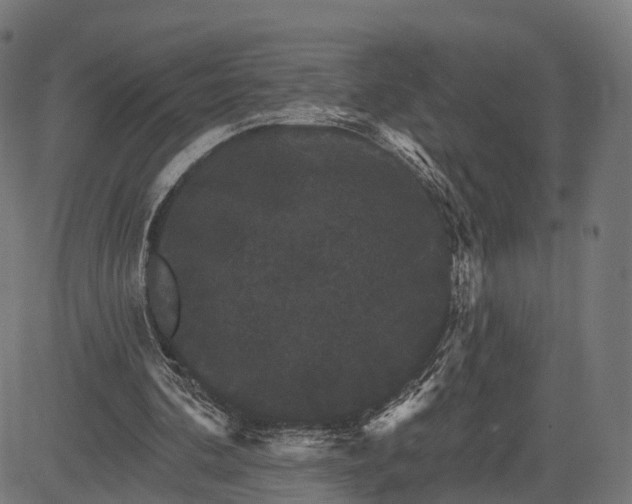 X0000084520292200703091609