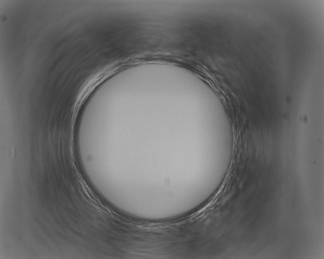 X0000084520293200703091609