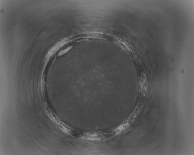 X0000084520294200703091609