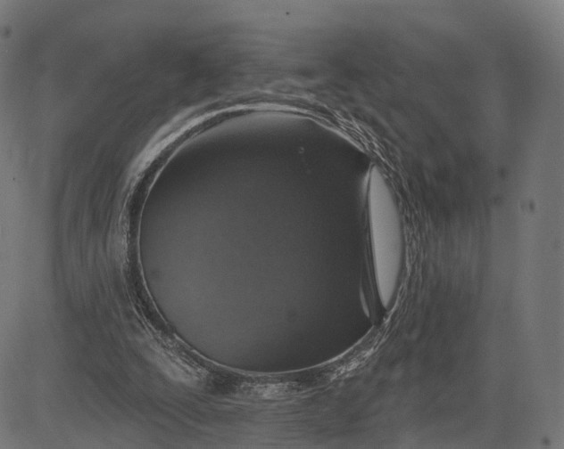 X0000084520295200703091609