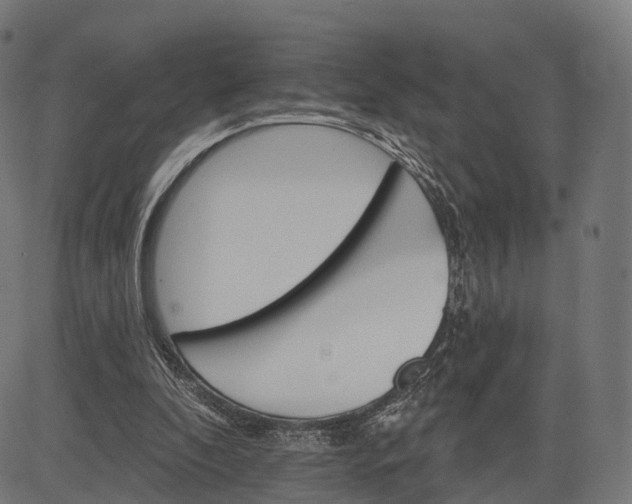 X0000084520296200703091609