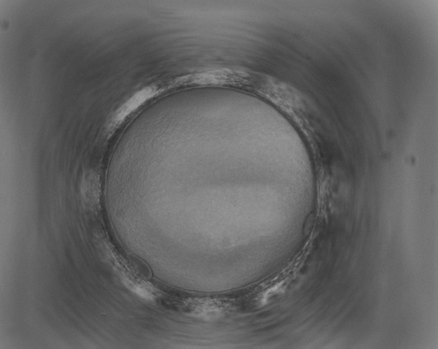 X0000084520297200703091609