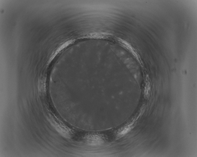 X0000084520299200703091609