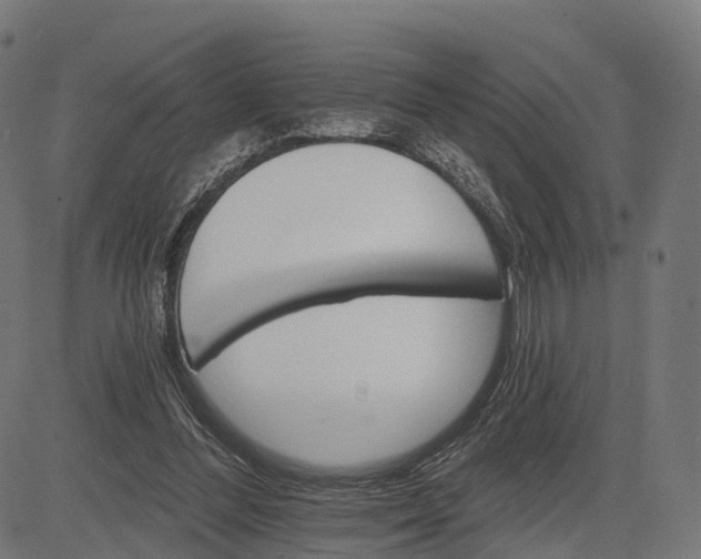 X0000084520300200703091609