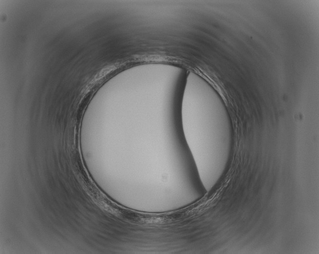 X0000084520301200703091609