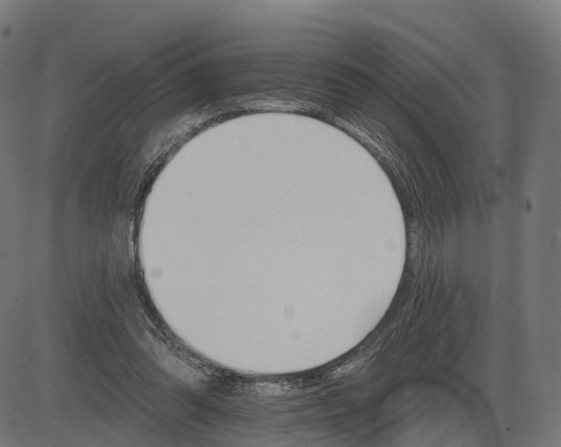 X0000084520302200703091609