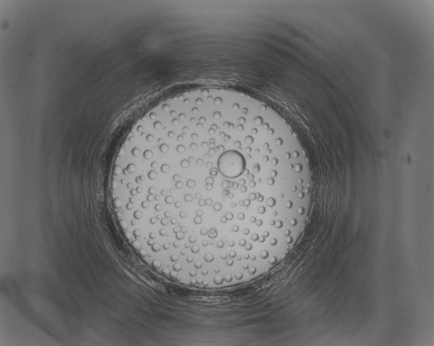 X0000084520303200703091609