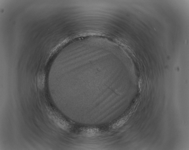 X0000084520304200703091609