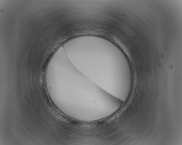 X0000084520305200703091609