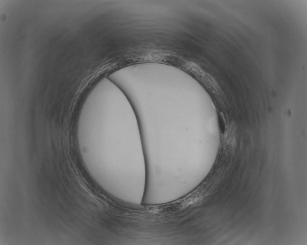 X0000084520306200703091609