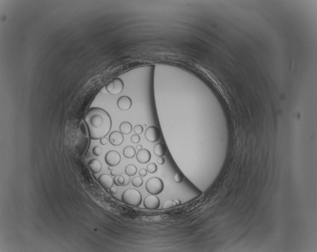 X0000084520307200703091609