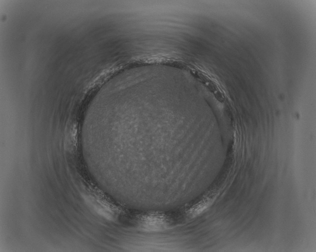 X0000084520308200703091609