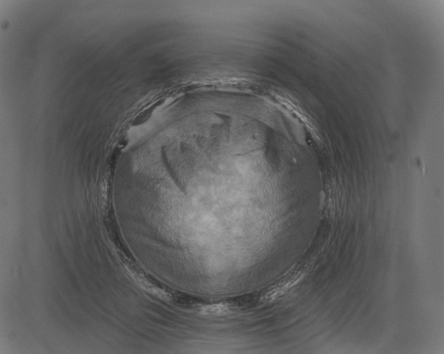 X0000084520309200703091609