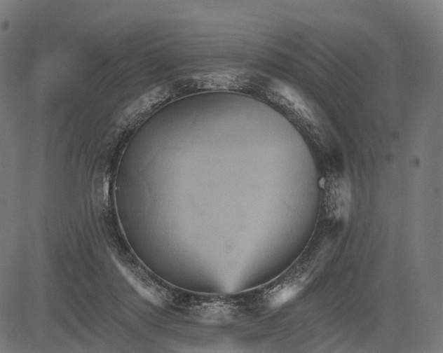 X0000084520310200703091609