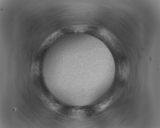 X0000084520311200703091609